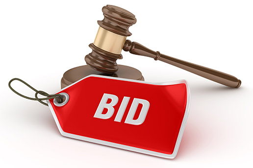 Bidding Process » Advanced Property Auction